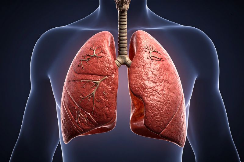 Curso de Capacitación Actualización de Estrategias para Rehabilitación Pulmonar